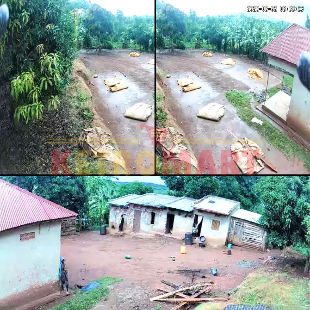 Untitled design_20250507_115734_0000.webp