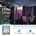1733168323786.webp