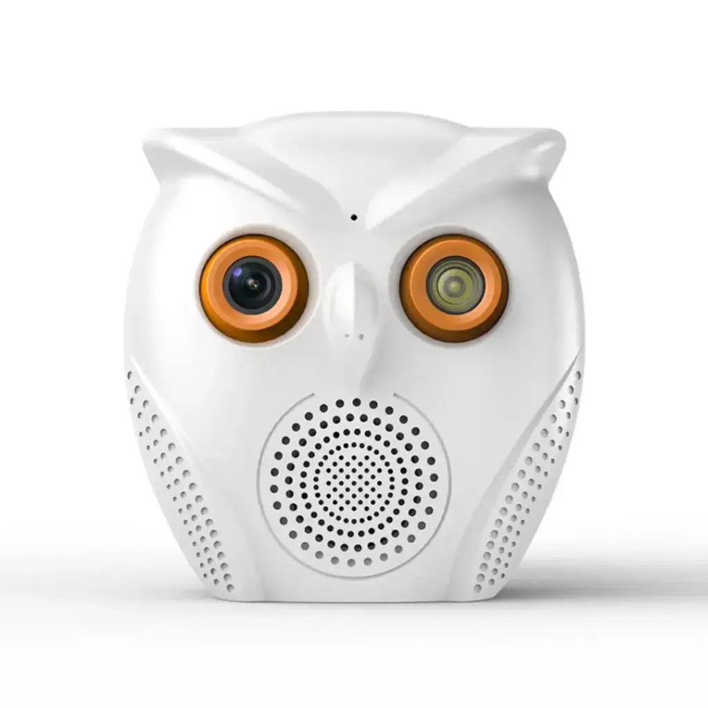 ICsee Wifi Alarm Camera 3MP Smart Owl Camera + fake Speaker & Humanoid Detection Only