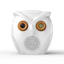 ICsee Wifi Alarm Camera 3MP Smart Owl Camera + fake Speaker & Humanoid Detection Only (Ship from Abroad)